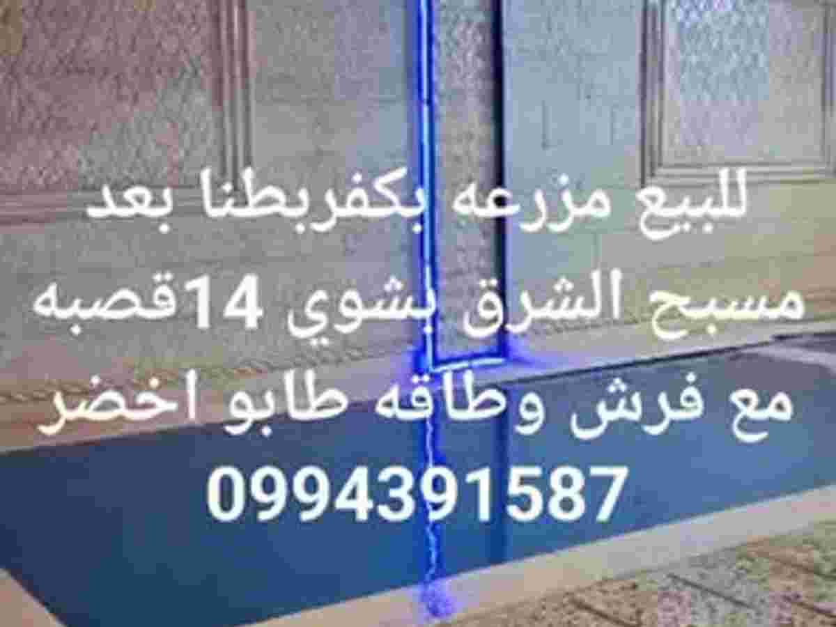 مزرعة 350م² للبيع