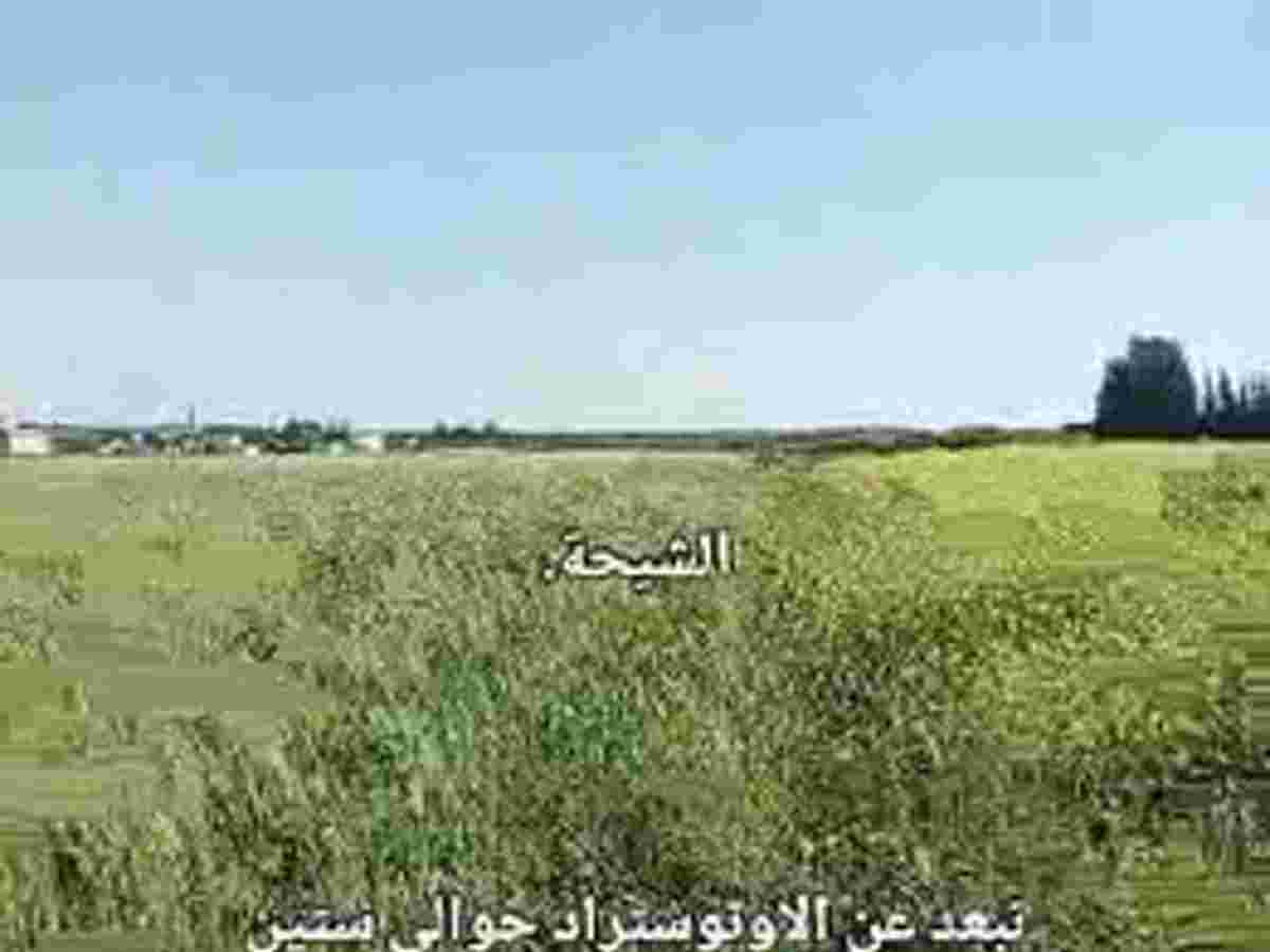 أرض 10000م² للبيع
