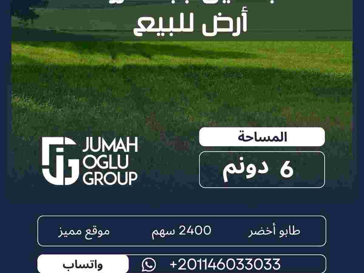 أرض 6000م² للبيع