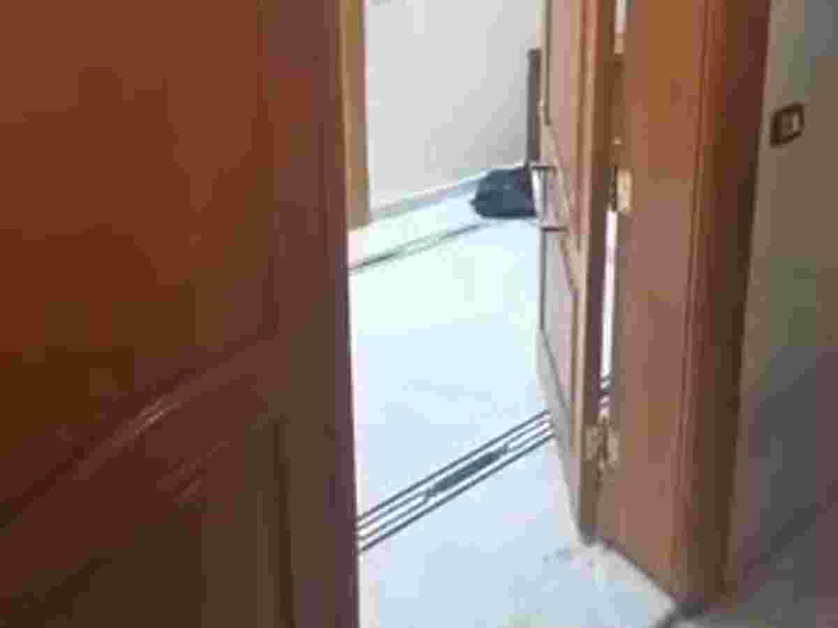 شقة 7 غرف 250م² طابق 4 للإيجار