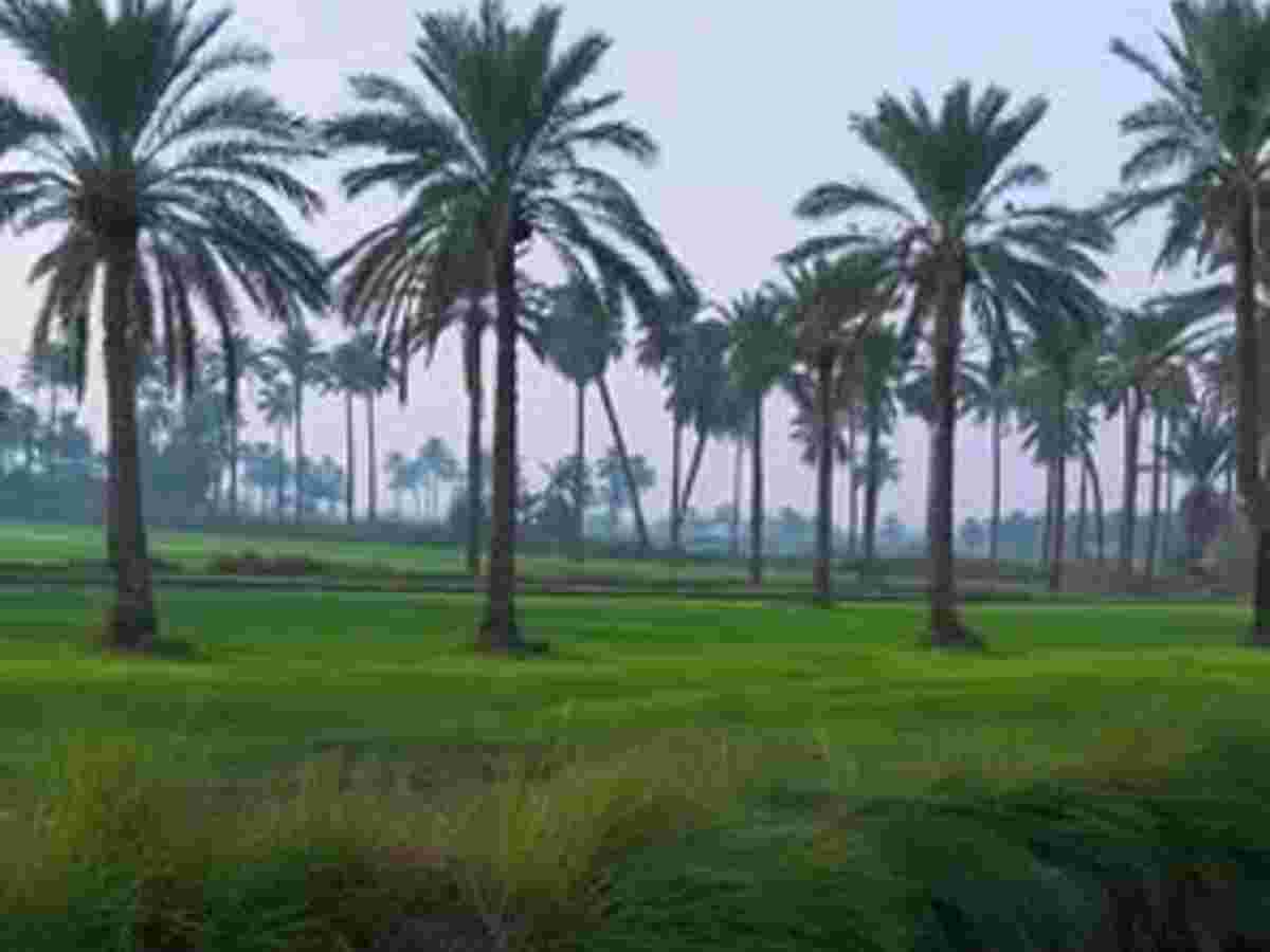 أرض 4700م² للبيع