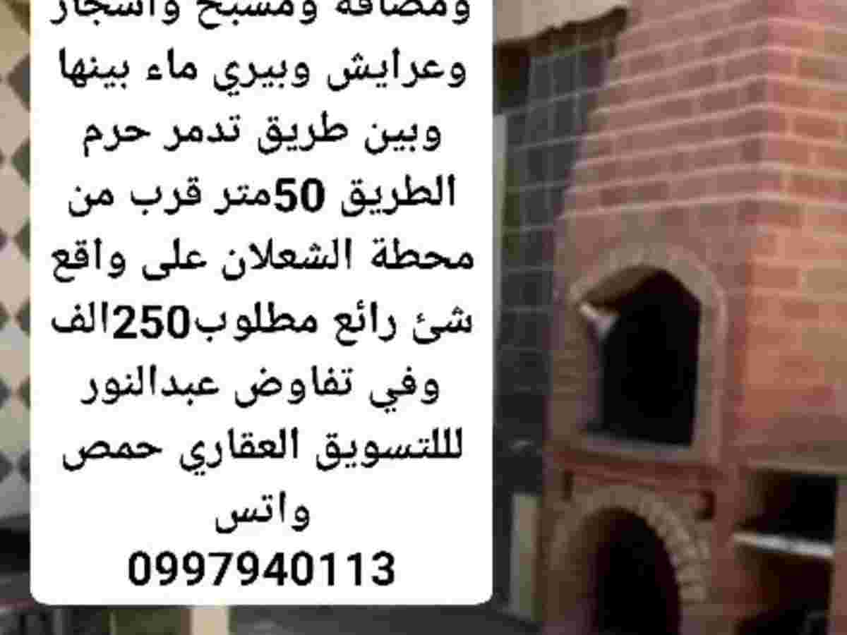 مزرعة 8000م² للبيع