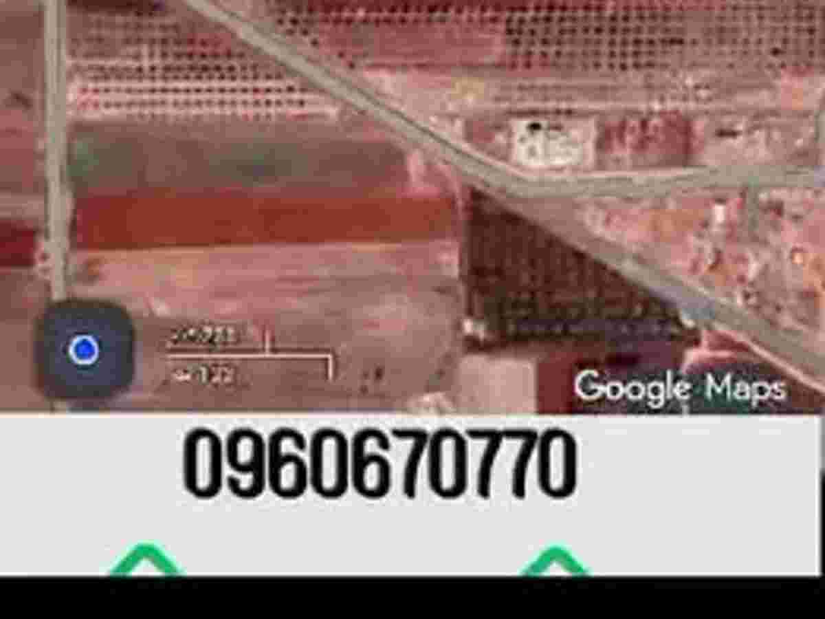 أرض 8000م² للبيع