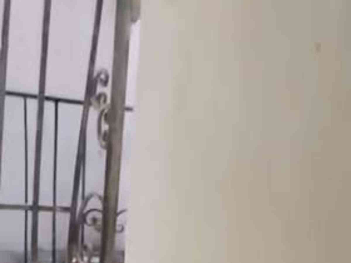 شقة 1 غرف 1 صالات 55م² طابق 1 للإيجار