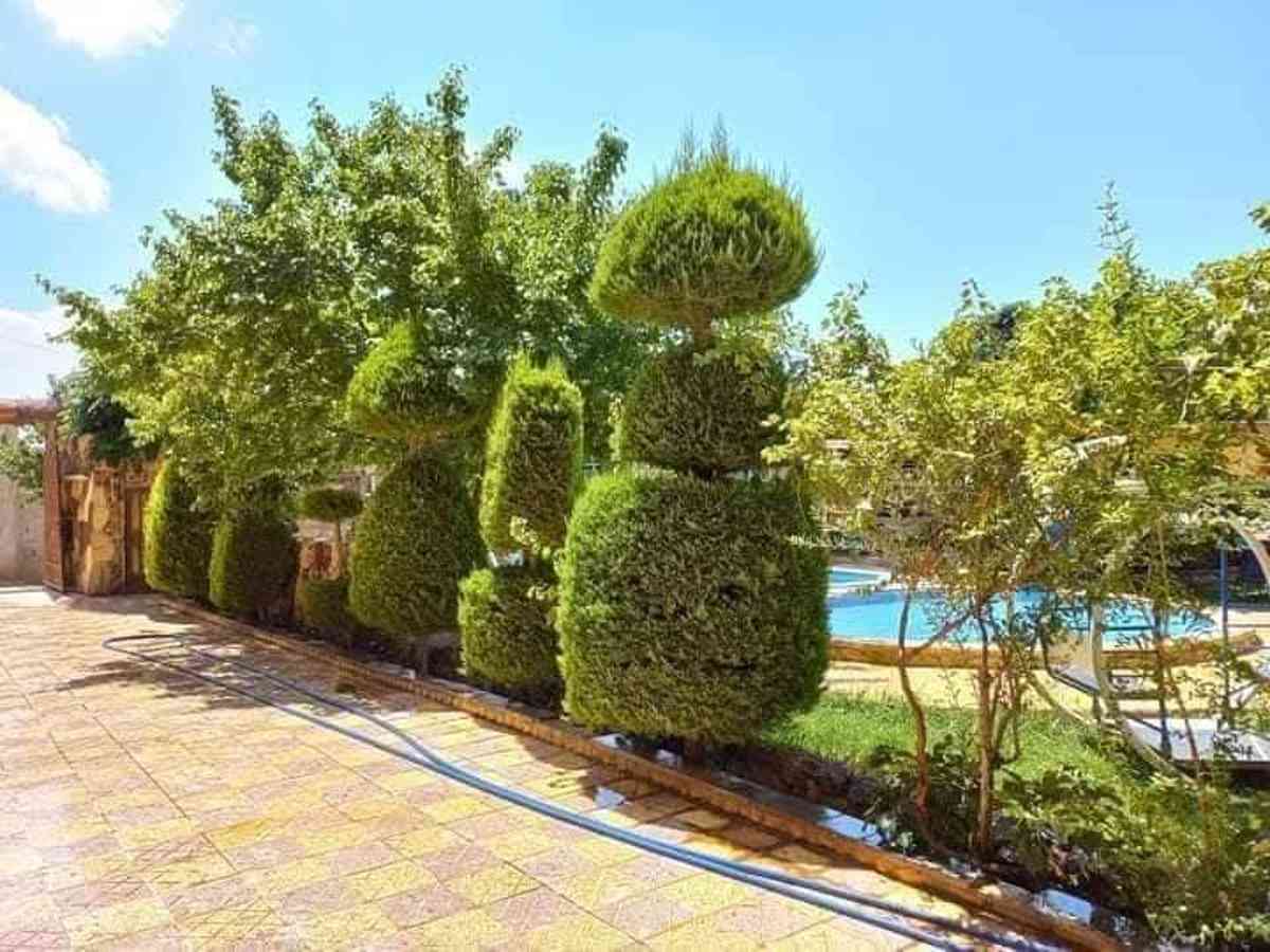 مزرعة 4 غرف للإيجار اليومي