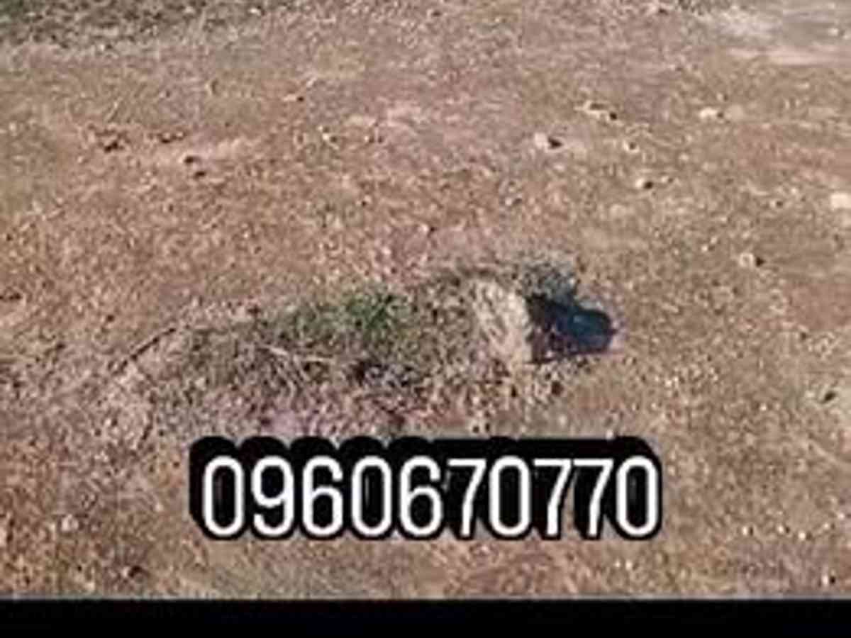أرض 50000م² للبيع