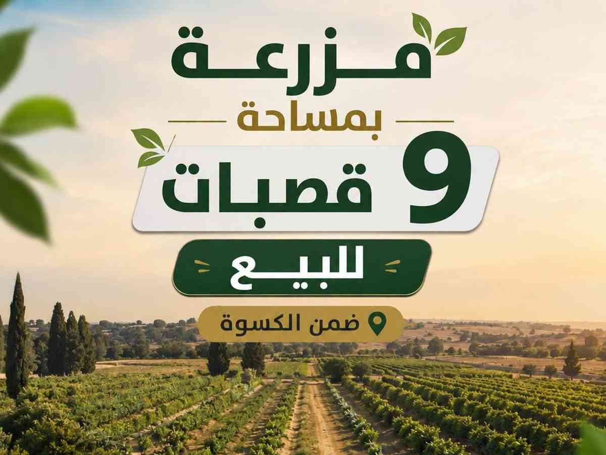 مزرعة 225م² للبيع