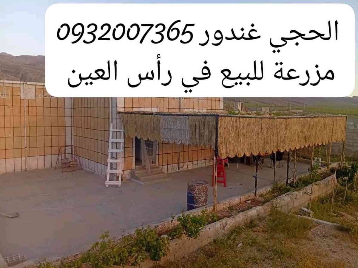 أرض 2500م² للبيع