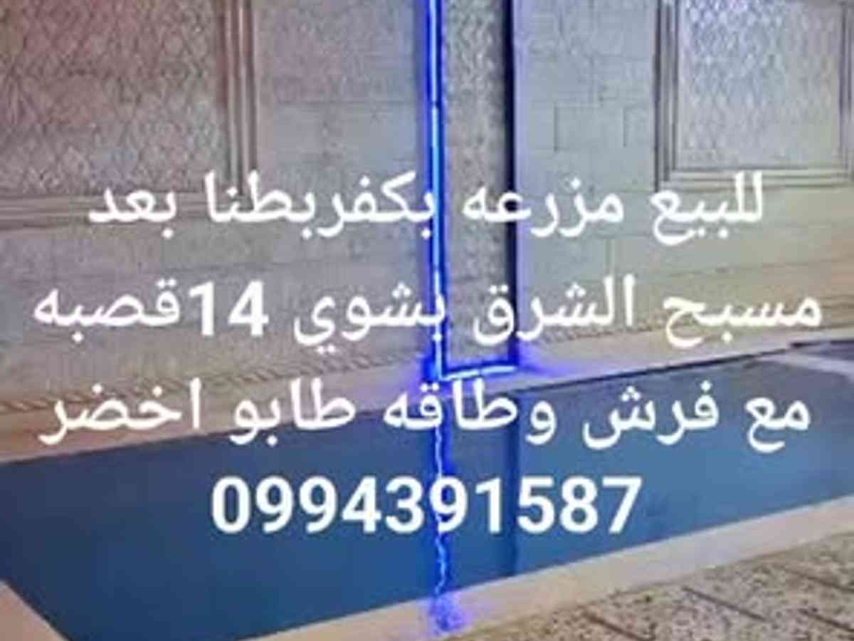 مزرعة 350م² للبيع