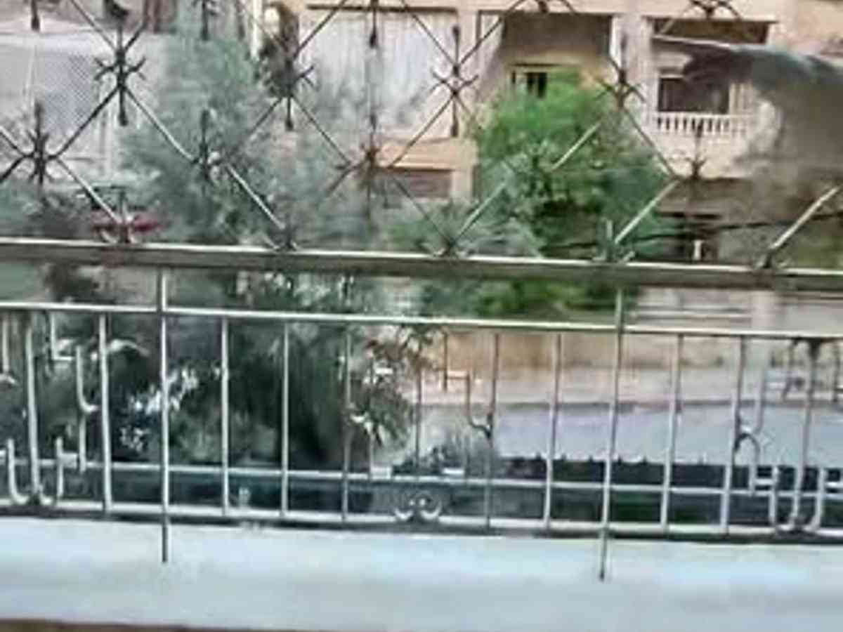 شقة 7 غرف 330م² طابق 1 للبيع