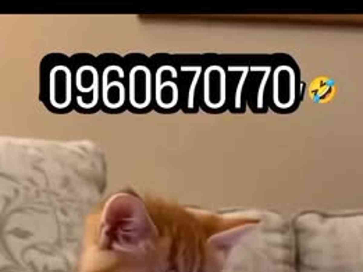 أرض 625م² للبيع