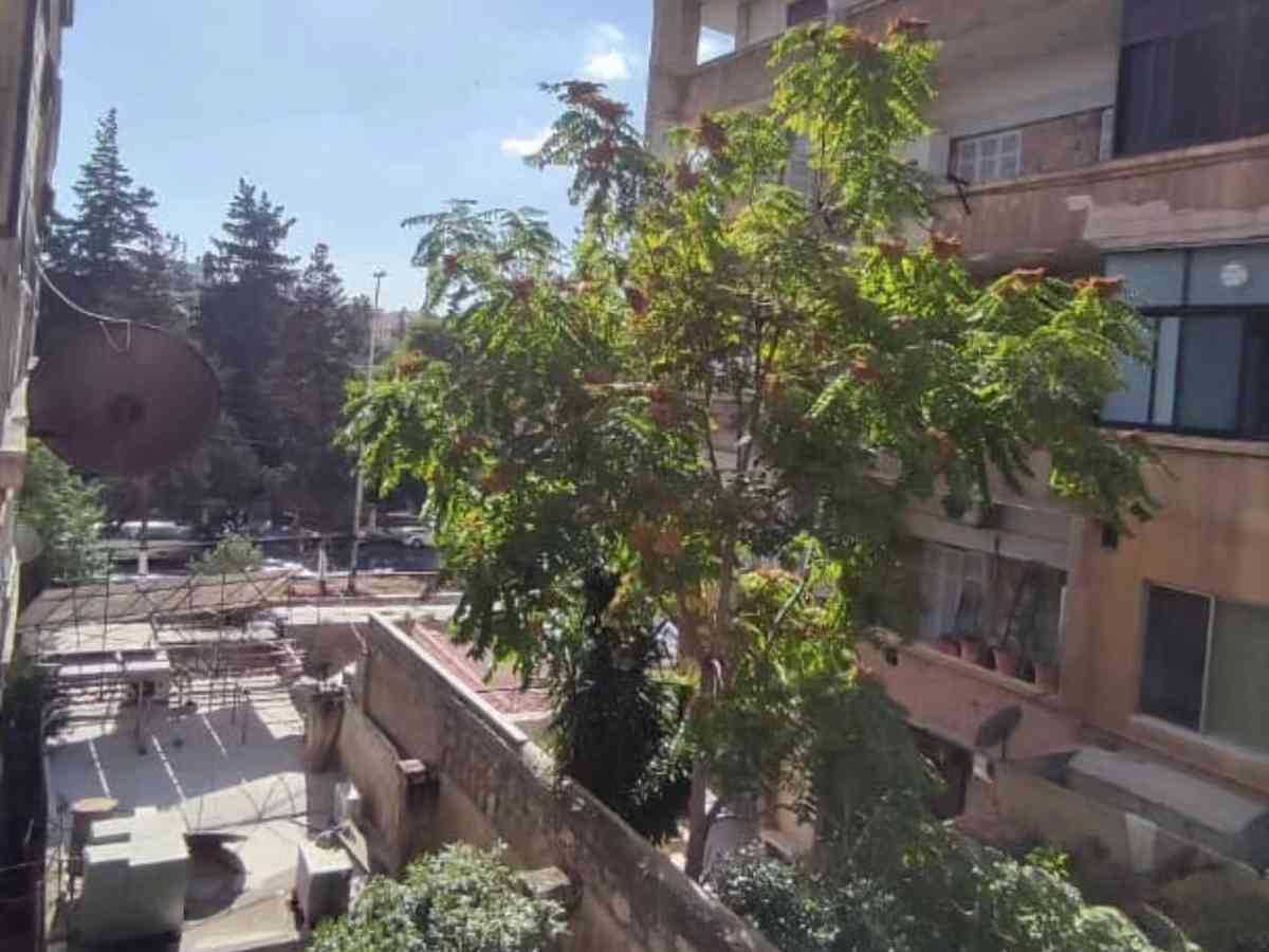 شقة 5 غرف 1 صالات 225م² طابق 3 للبيع