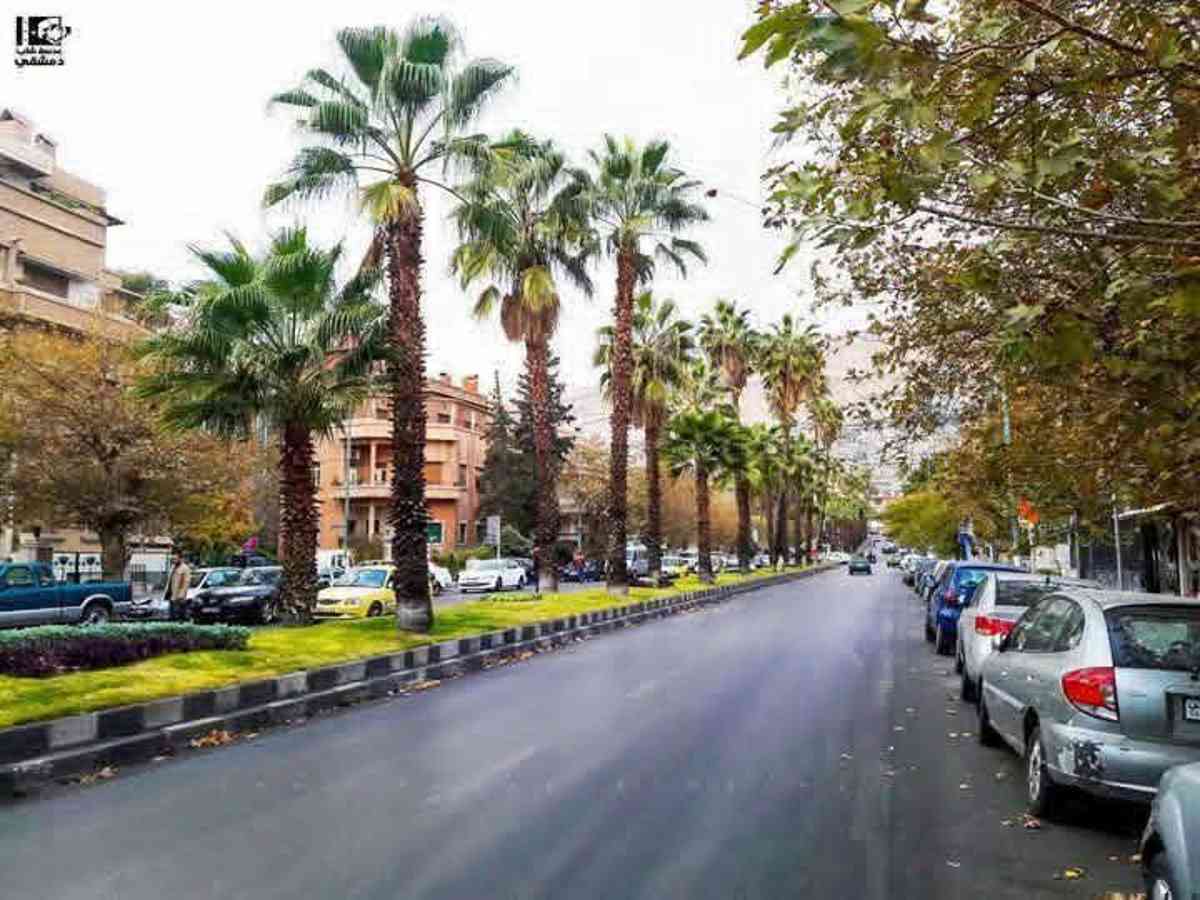 شقة 6 غرف 1 صالات 300م² طابق 2 للبيع