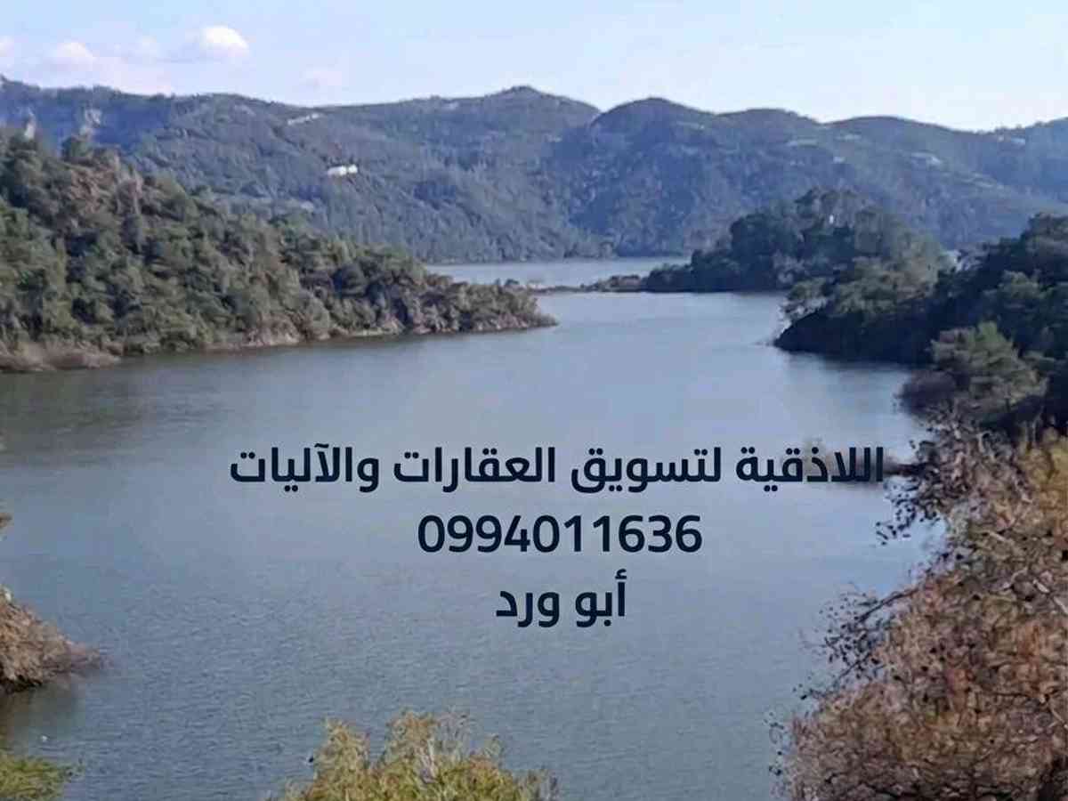 اللاذقية تسويق عقاري