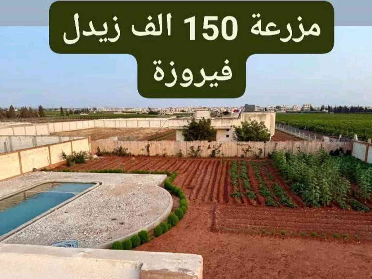 مزرعة 2015م² للبيع