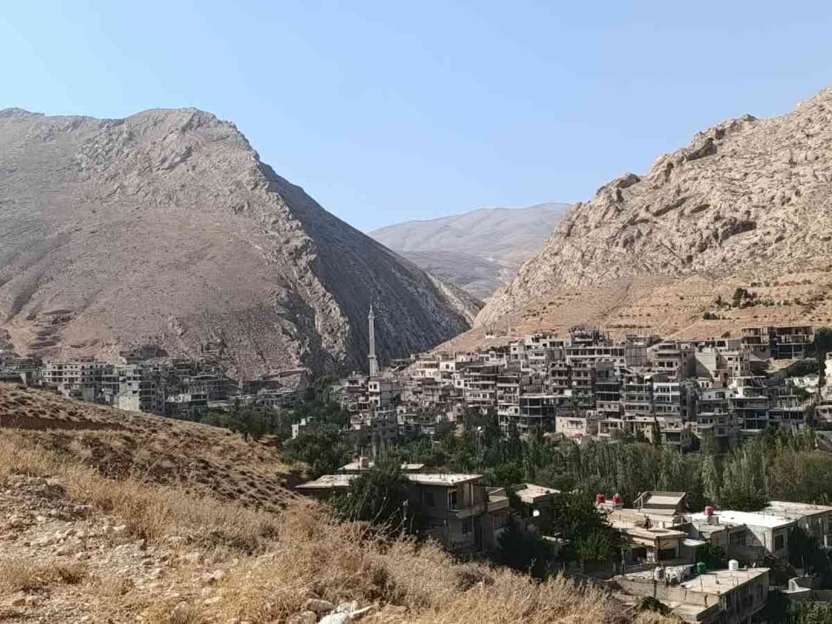 أرض 30000م² للبيع