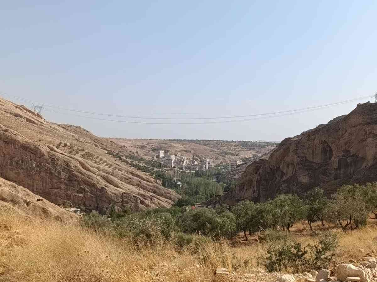 أرض 30000م² للبيع