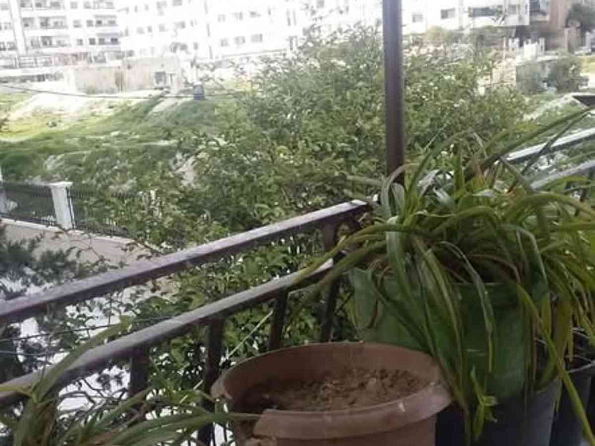 شقة 3 غرف 115م² طابق 1 للبيع