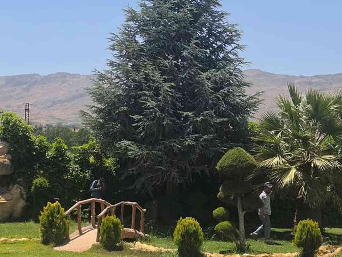 فيلا 5 غرف 1 صالات للإيجار اليومي