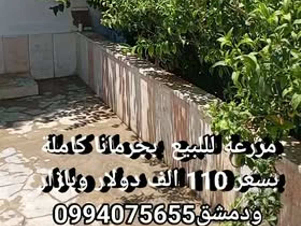 مزرعة 14000م² للبيع