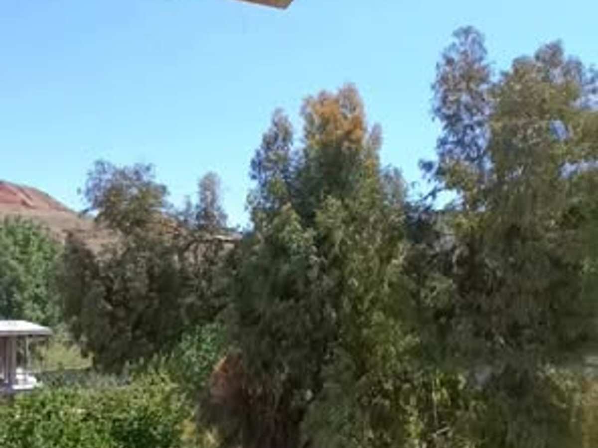 شقة للبيع
