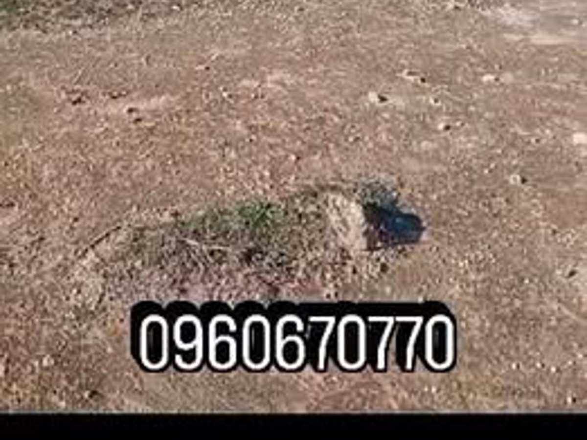 أرض 5000م² للبيع