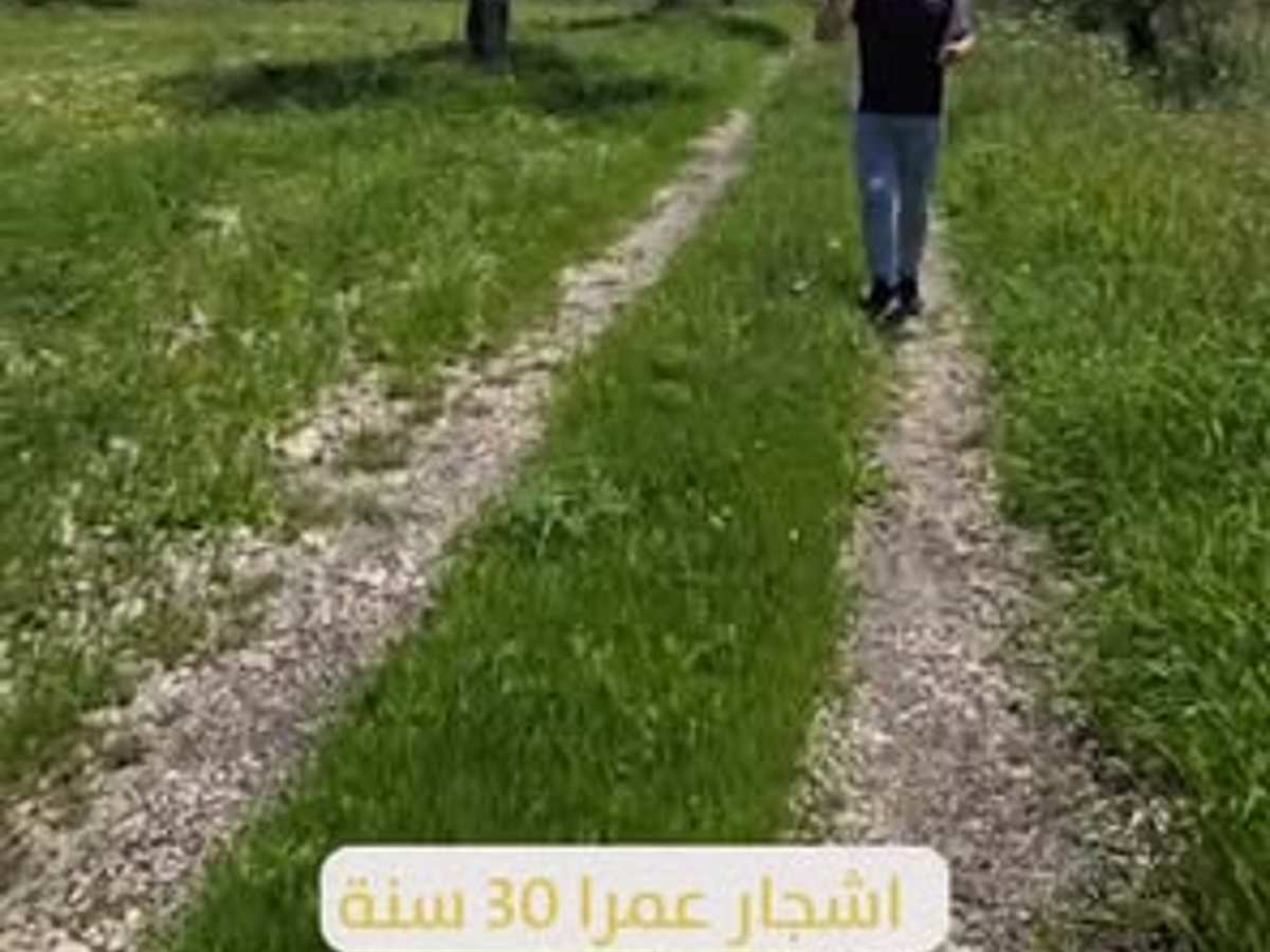 أرض 10500م² للبيع