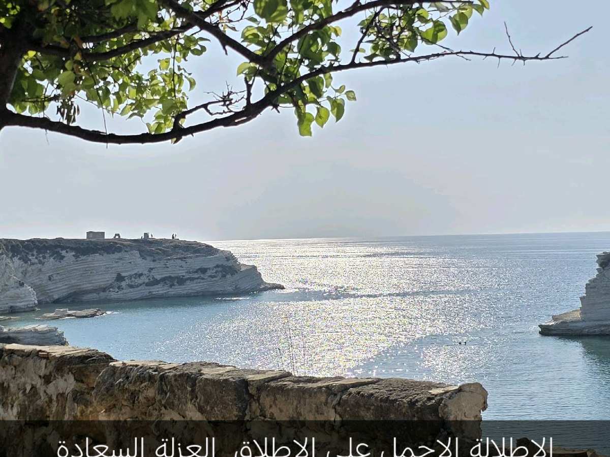 شاليه 3 غرف 1 صالات 200م² للبيع