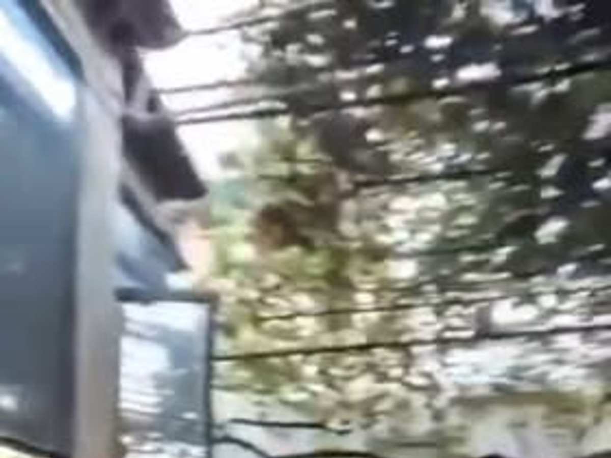 شقة للإيجار