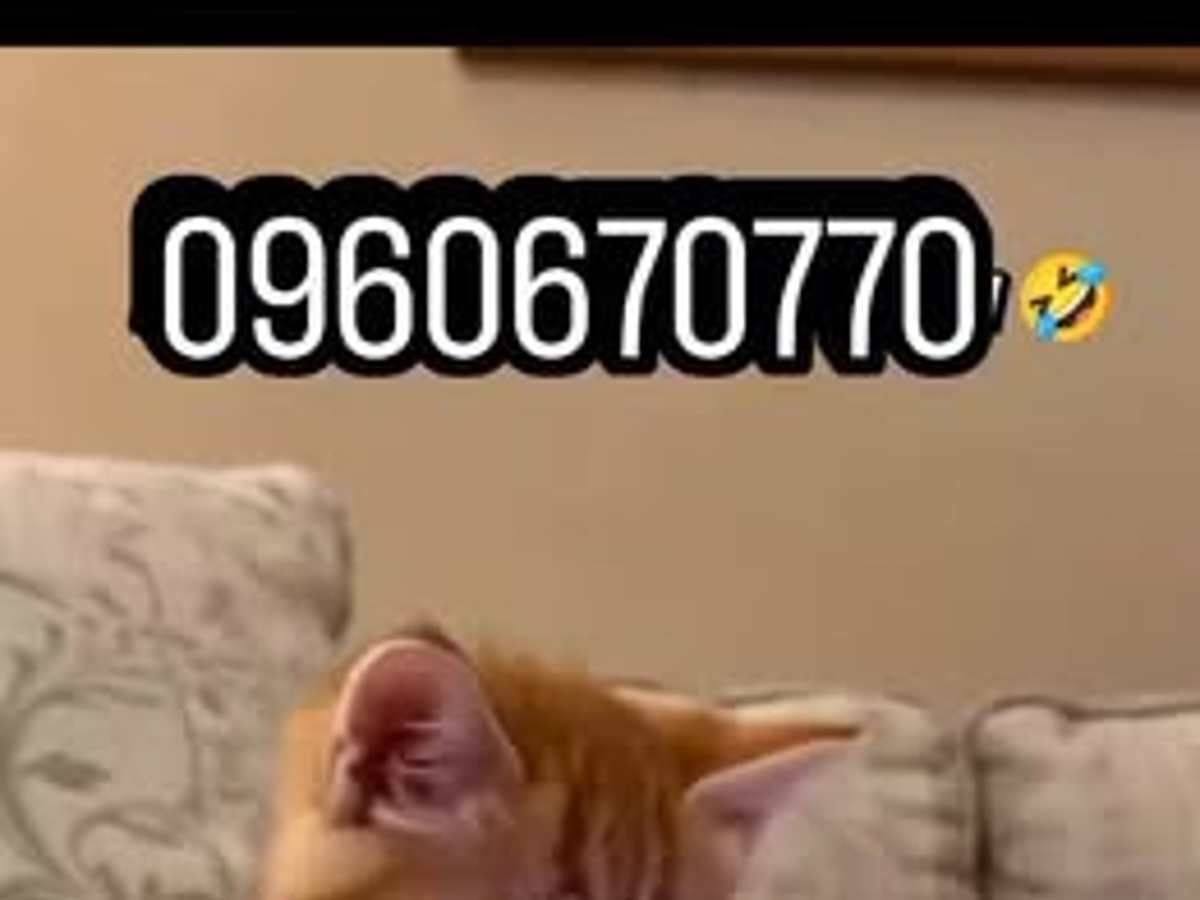 أرض 625م² للبيع