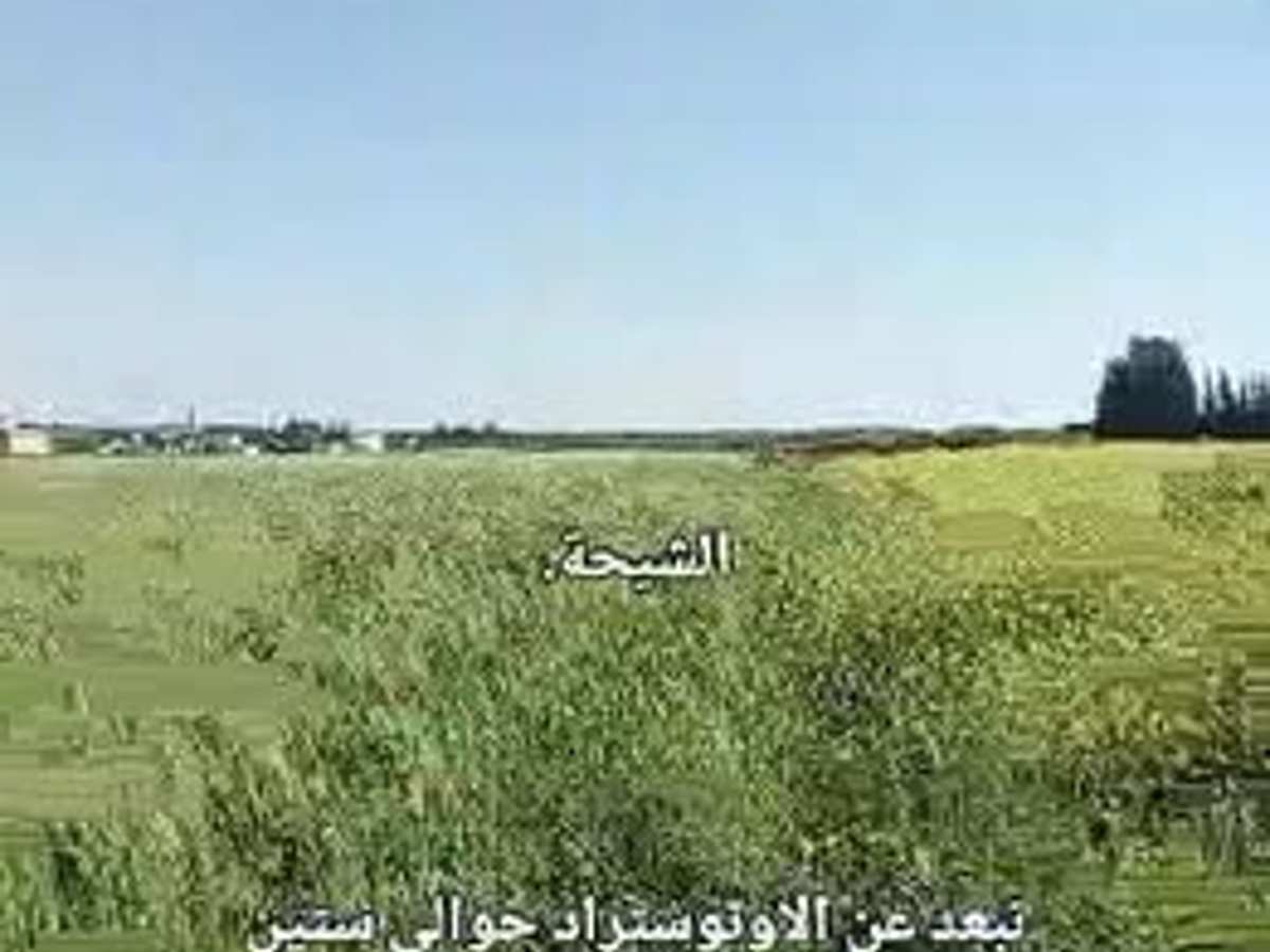 أرض 10000م² للبيع