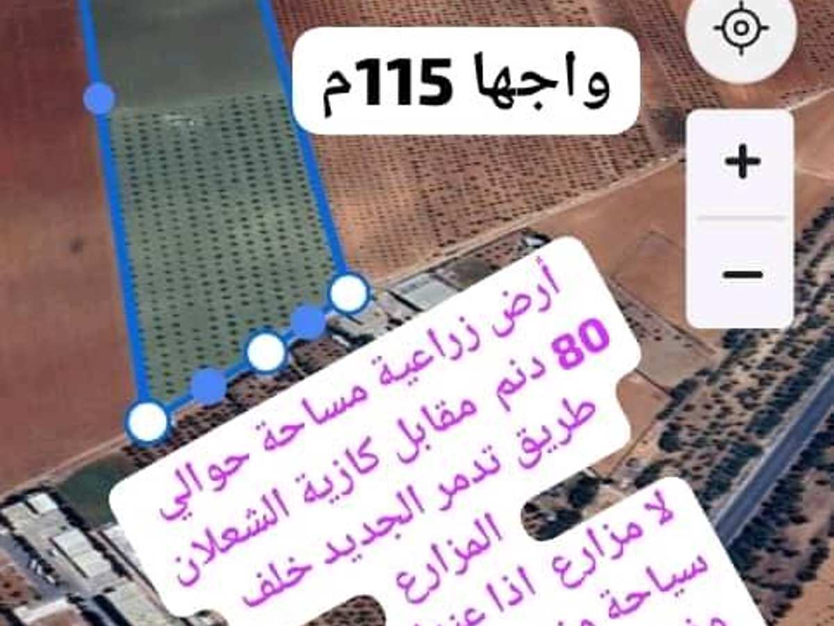 أرض 80000م² للبيع