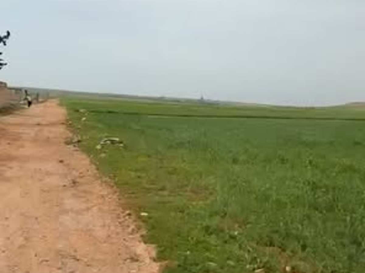 أرض 13800م² للبيع