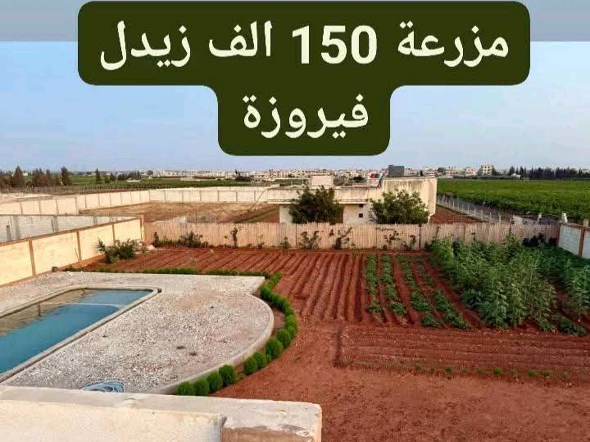 مزرعة 2015م² للبيع