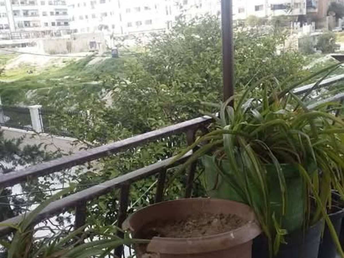 شقة 3 غرف 115م² طابق 1 للبيع