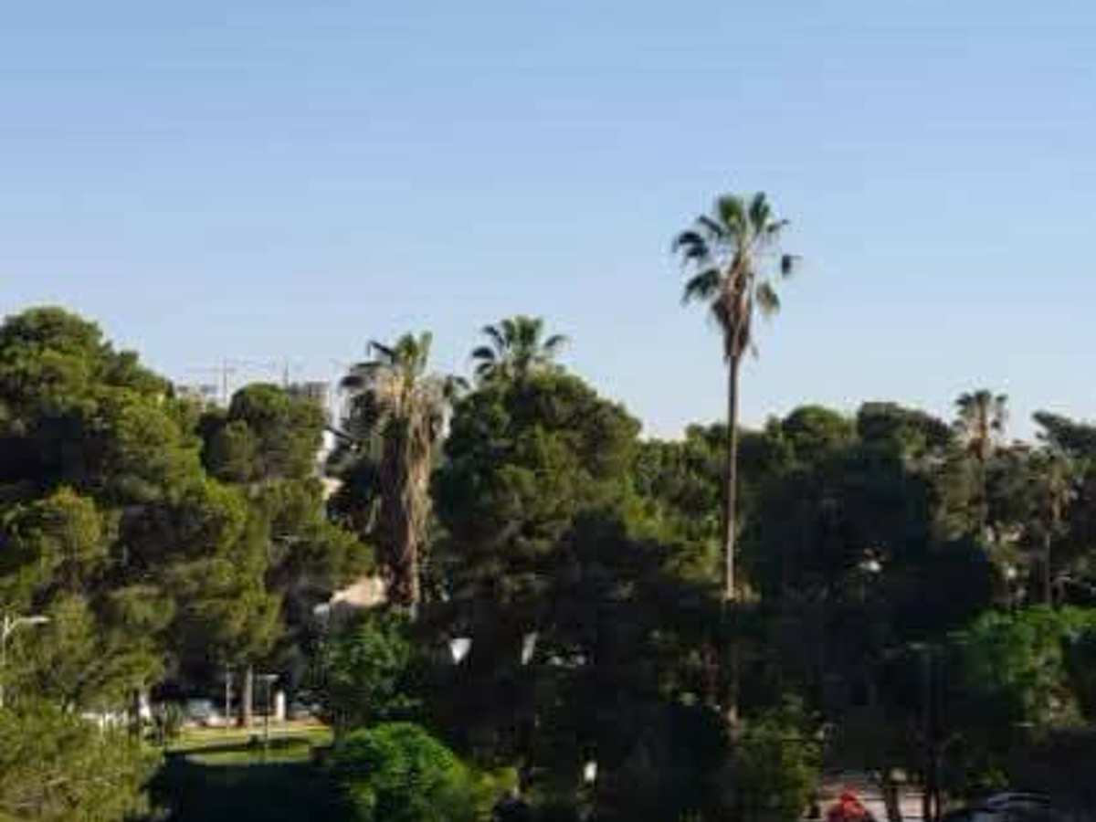 شقة 2 غرف 1 صالات 90م² طابق 3 مع فرش للبيع